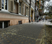 помещение 79 кв м Пушкинская улица