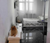 1-комн, 31кв м, этаж 7/9 пр-кт Курчатова, 45