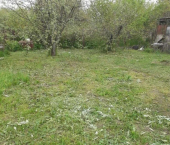 земля 600 сот Центральная улица