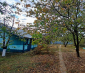 коттедж 12 кв м ул Неглинная, 16