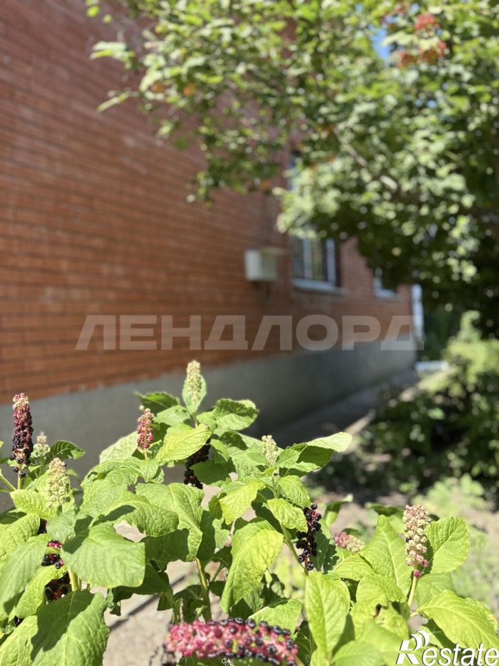 Коттедж/дом улица 17-я Линия